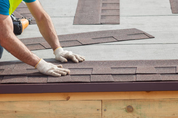 Best Emergency Roof Repair Services  in Preston, MN